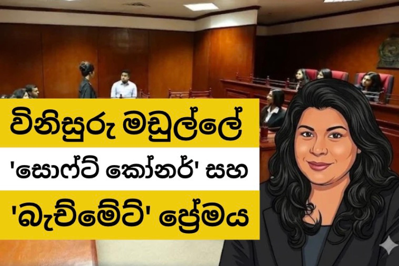 නීතියේ දෙවඟනගේ ඇස් බැඳ, තරාදියේබරවෙනස්කරන ‘සොෆ්ට්කෝනර්’
